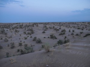 Maranjab desert (63)    